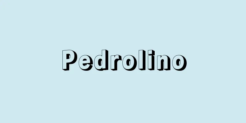 Pedrolino