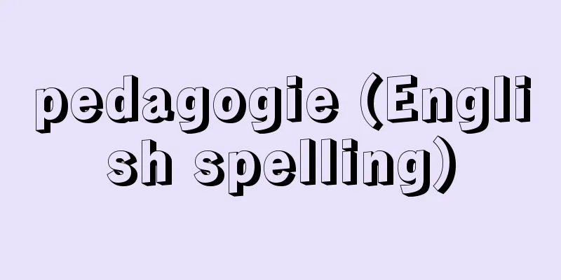 pedagogie (English spelling)