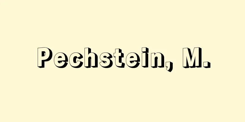 Pechstein, M.