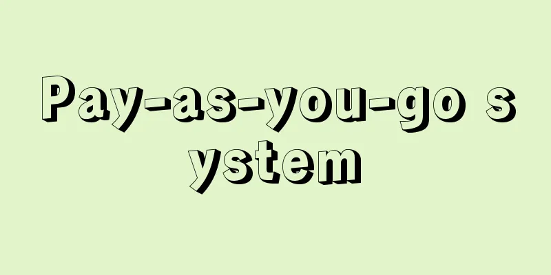 Pay-as-you-go system