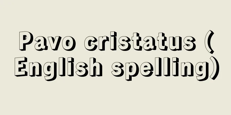 Pavo cristatus (English spelling)