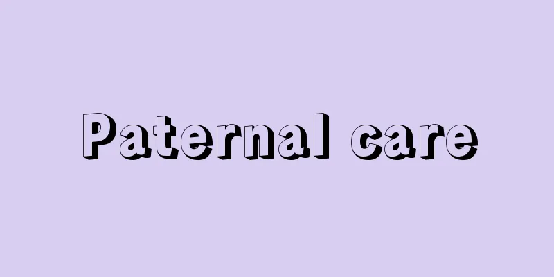 Paternal care