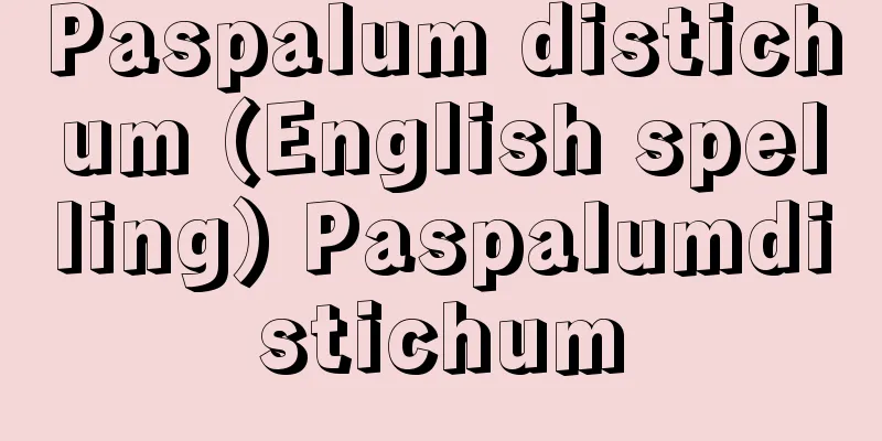 Paspalum distichum (English spelling) Paspalumdistichum