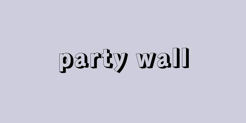 party wall