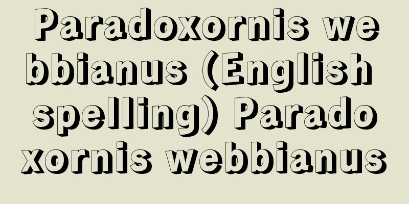 Paradoxornis webbianus (English spelling) Paradoxornis webbianus