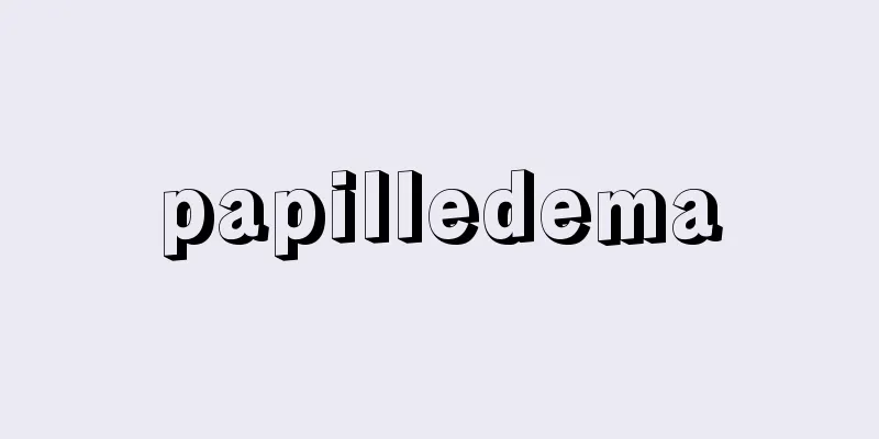 papilledema