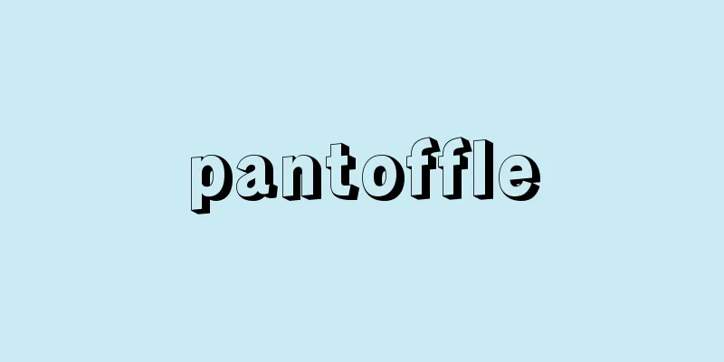 pantoffle