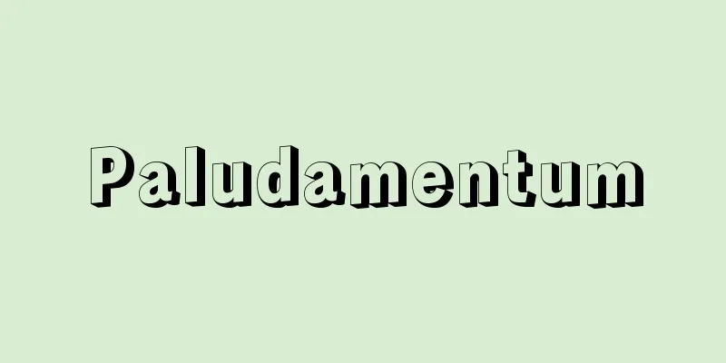 Paludamentum