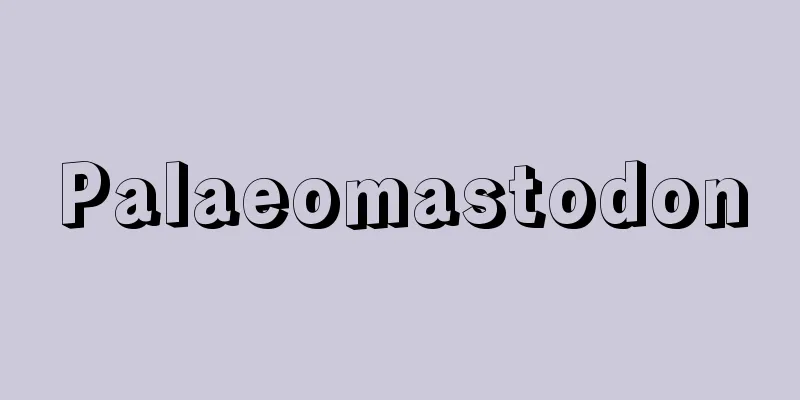 Palaeomastodon