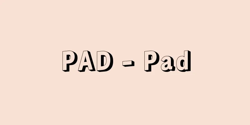 PAD - Pad