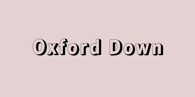 Oxford Down