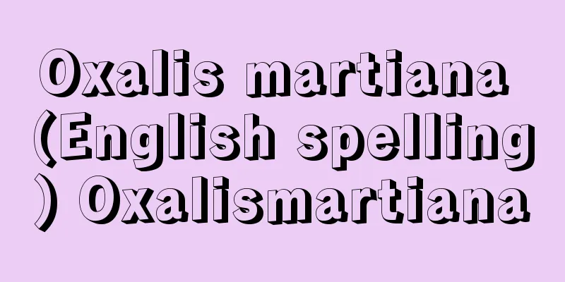 Oxalis martiana (English spelling) Oxalismartiana