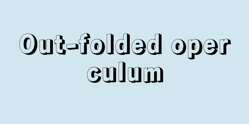 Out-folded operculum