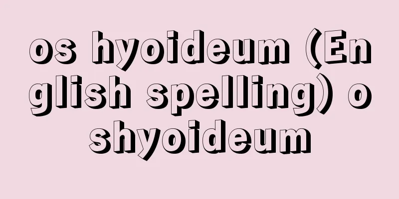 os hyoideum (English spelling) oshyoideum