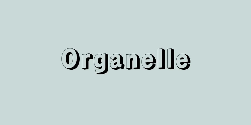 Organelle