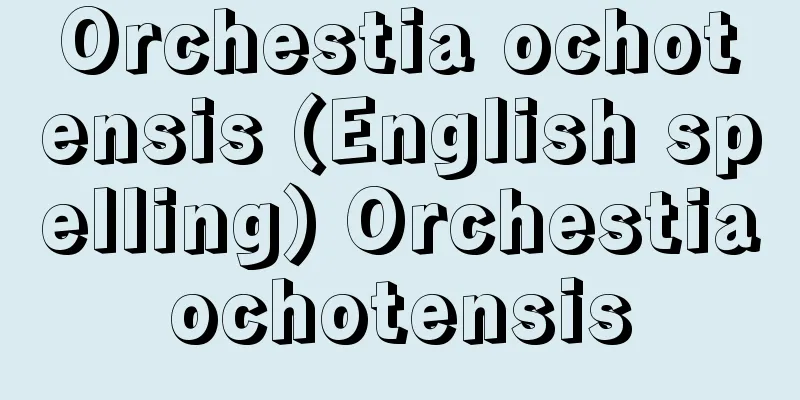 Orchestia ochotensis (English spelling) Orchestiaochotensis