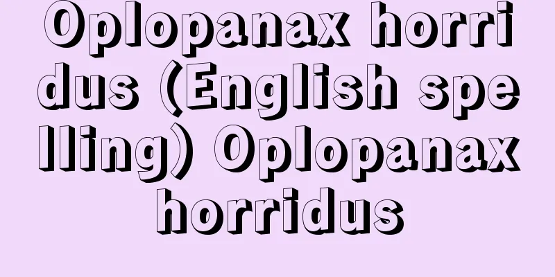 Oplopanax horridus (English spelling) Oplopanaxhorridus