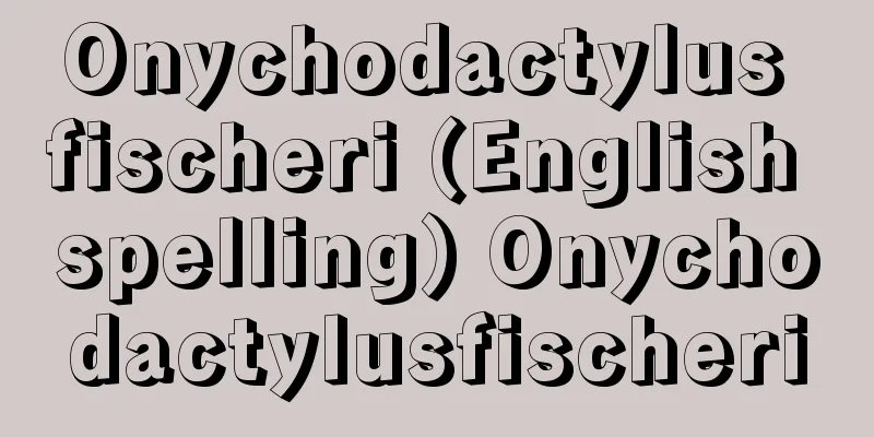 Onychodactylus fischeri (English spelling) Onychodactylusfischeri