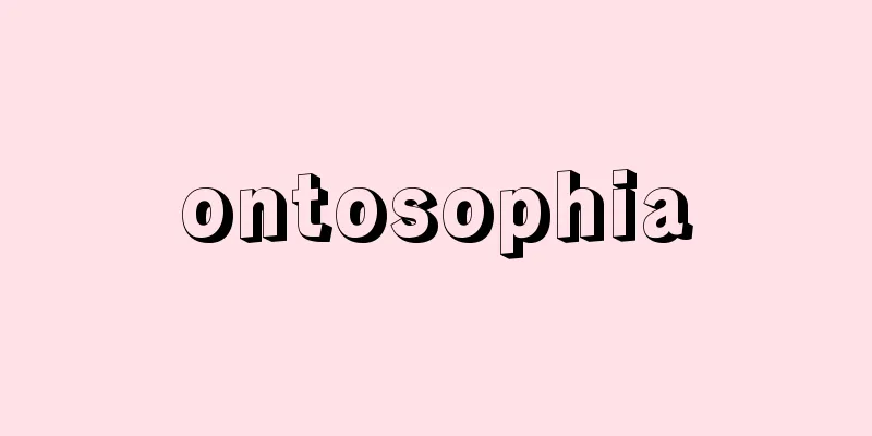 ontosophia