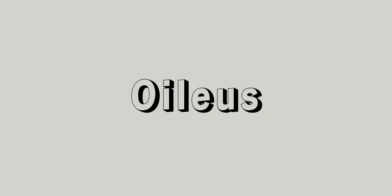 Oileus
