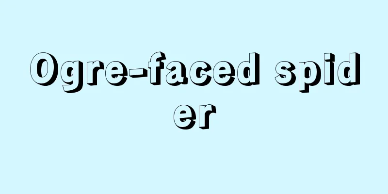 Ogre-faced spider