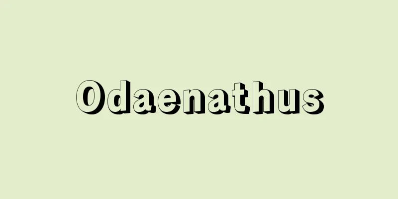 Odaenathus