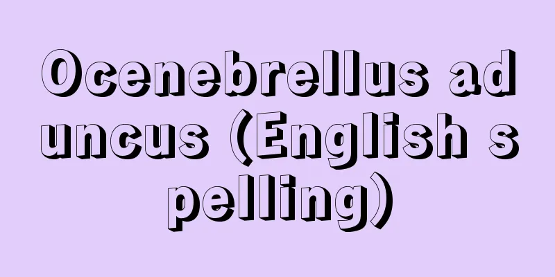 Ocenebrellus aduncus (English spelling)