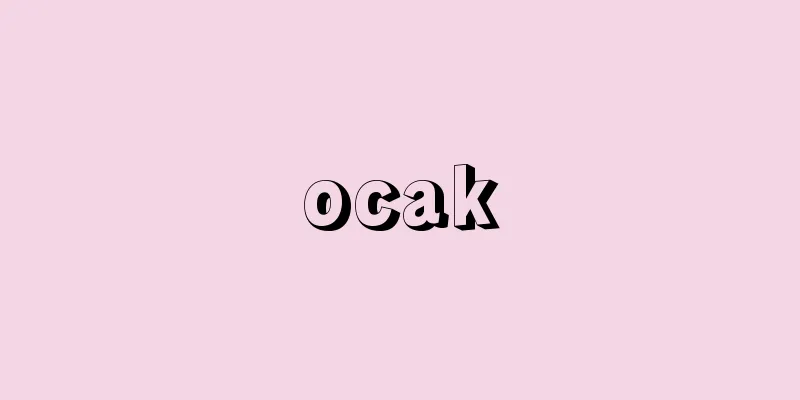 ocak