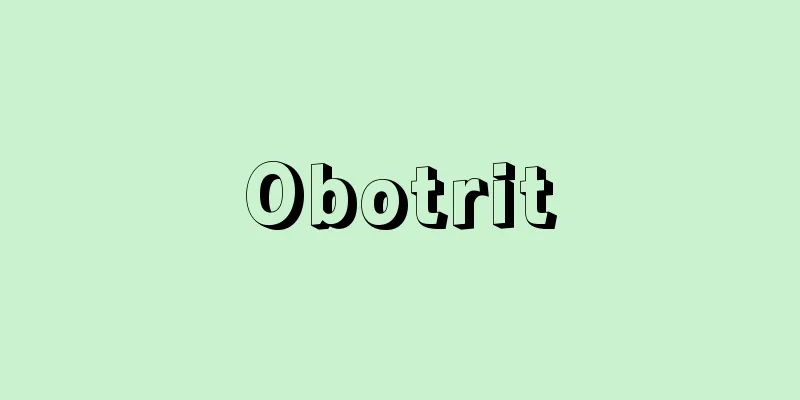 Obotrit