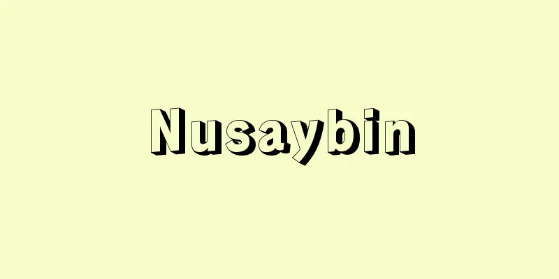 Nusaybin