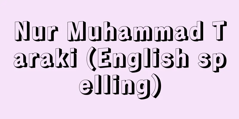 Nur Muhammad Taraki (English spelling)