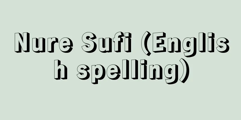 Nure Sufi (English spelling)