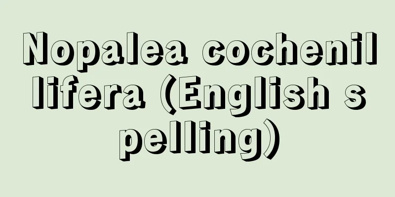Nopalea cochenillifera (English spelling)