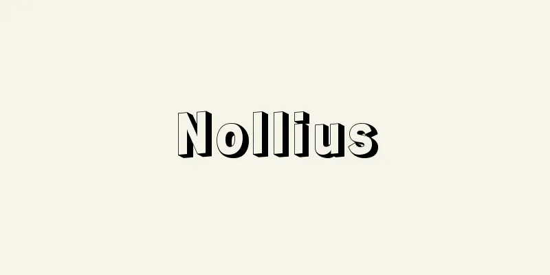 Nollius