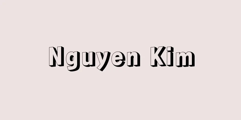 Nguyen Kim