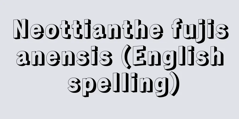 Neottianthe fujisanensis (English spelling)