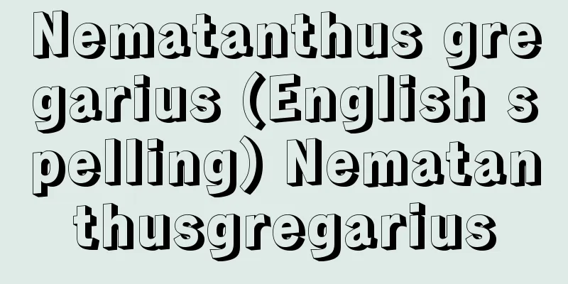 Nematanthus gregarius (English spelling) Nematanthusgregarius