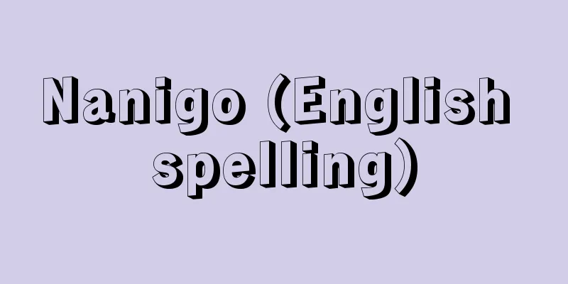 Nanigo (English spelling)