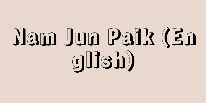 Nam Jun Paik (English)