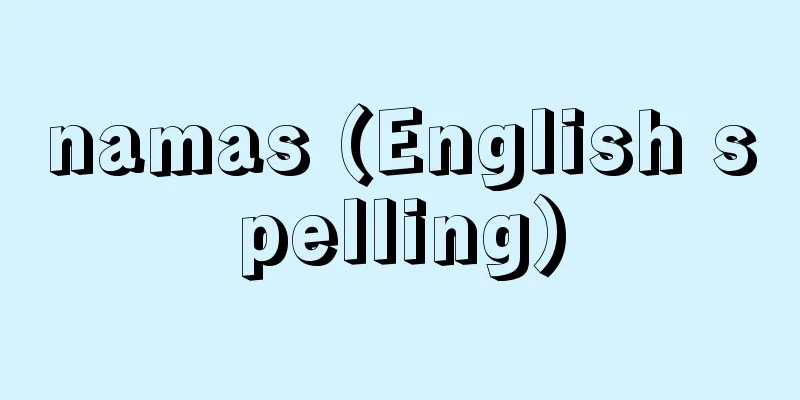 namas (English spelling)