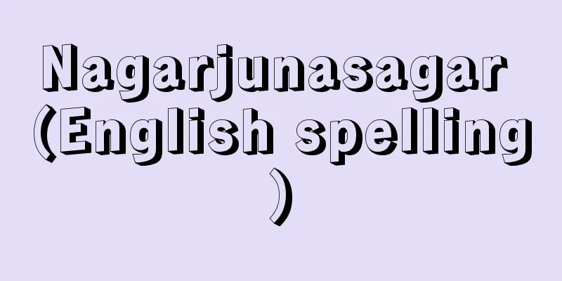 Nagarjunasagar (English spelling)