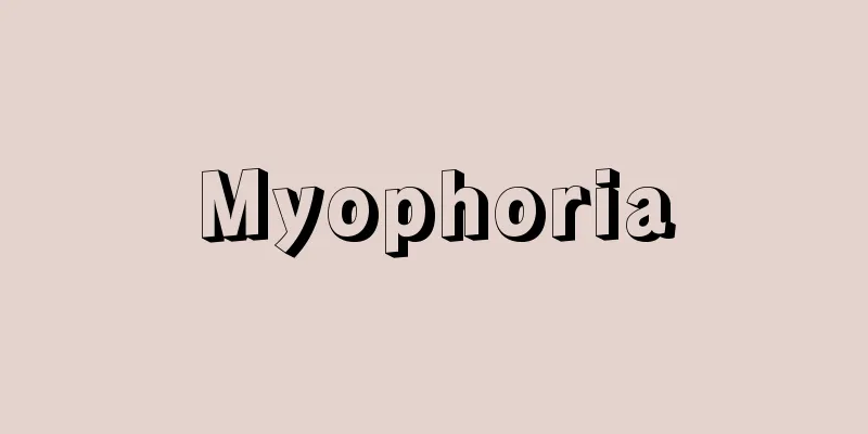 Myophoria