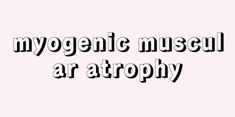 myogenic muscular atrophy