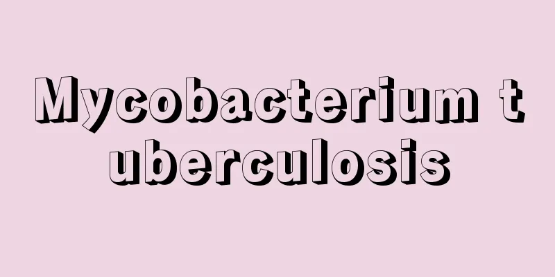 Mycobacterium tuberculosis