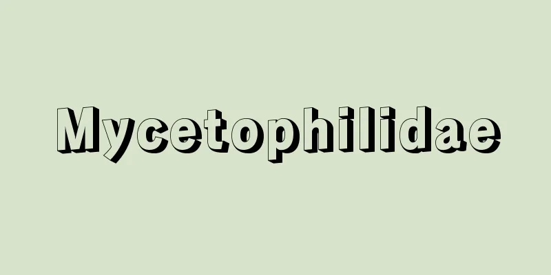 Mycetophilidae