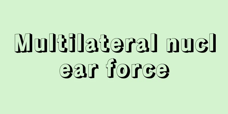 Multilateral nuclear force
