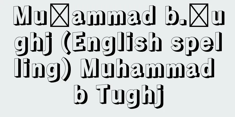 Muḥammad b.Ṭughj (English spelling) Muhammad b Tughj