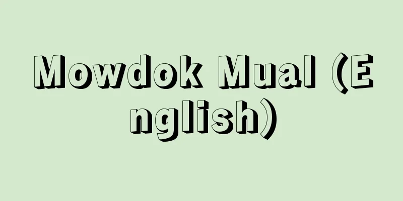 Mowdok Mual (English)