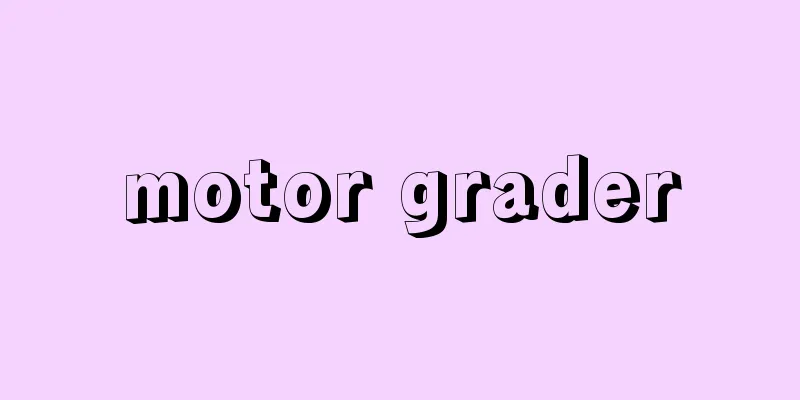 motor grader