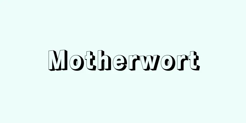 Motherwort